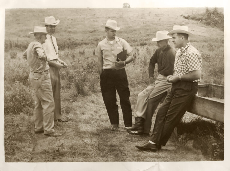 angus cattle for sale oklahoma